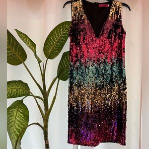 Ruiyige Women Sexy Sequin Deep V-Neck Club Dress Size Juniors Large